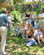 Visit to Organic Coffee Farm