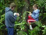Conservation pic